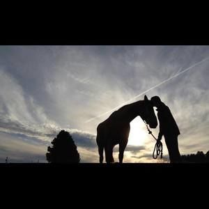 Meet your Posher, Harvey